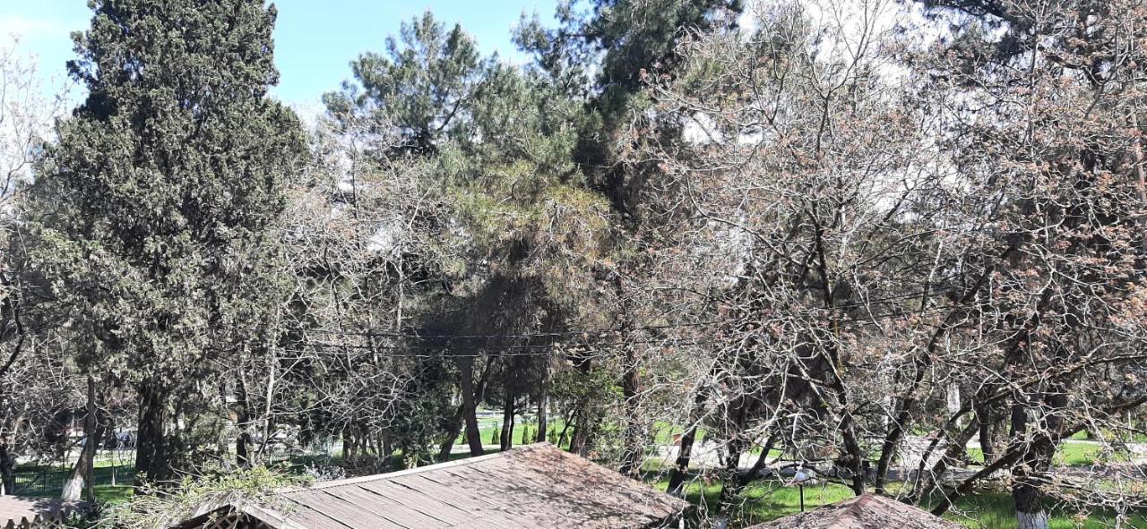 Гостиница "Курорт" פיזונדה מראה חיצוני תמונה